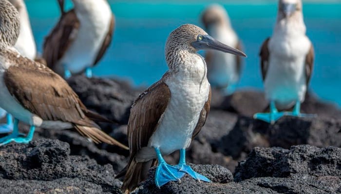 My Galápagos Islands Eco Adventure