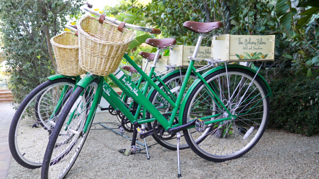 green bikes for rent