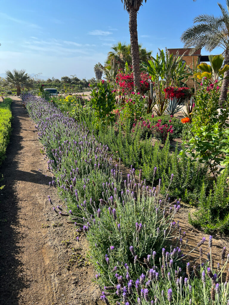 The Farm at Villa Santa Cruz