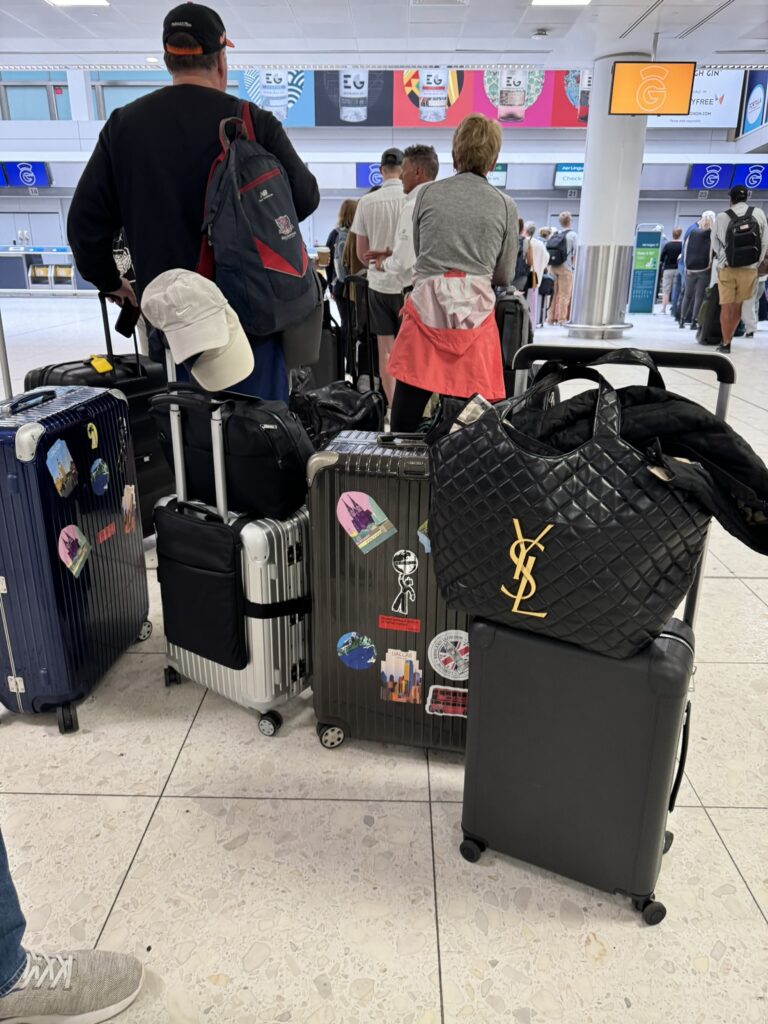 European travel luggage options